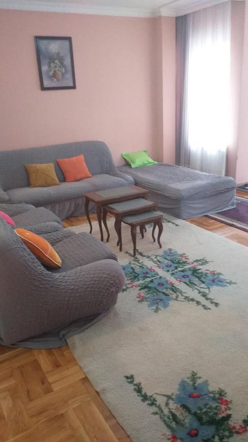Apartment Gajic Belgrad Exterior foto